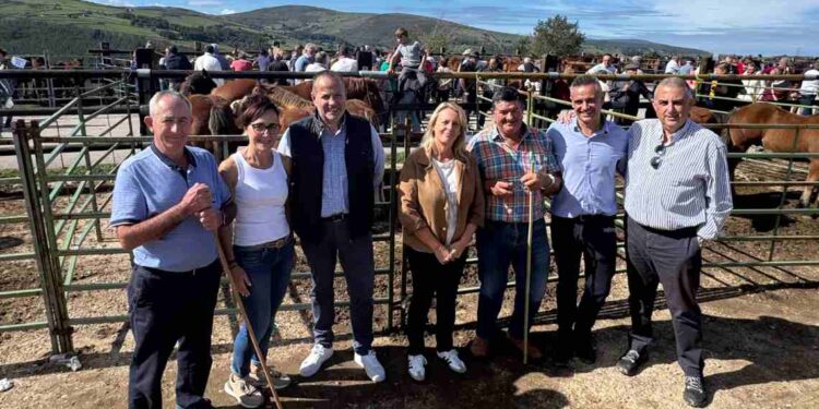 Feria de Ganado Equino