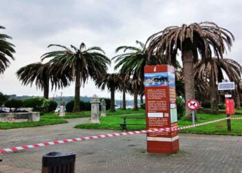 El palmeral de San Vicente de la Barquera