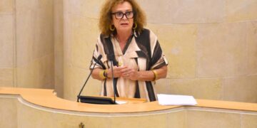 Ley de Autoridad Docente: Teresa Noceda en el Parlamento