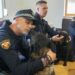 Turko logra un oro para la Unidad Canina de Torrelavega