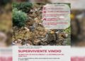 Programa superviviente Vindio