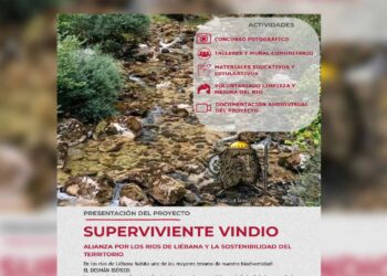 Programa superviviente Vindio