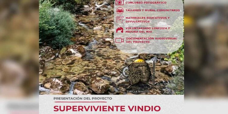 Programa superviviente Vindio