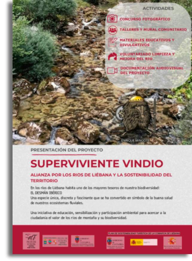Cartel Programa Superviviente Vindio