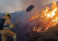 incendios forestales