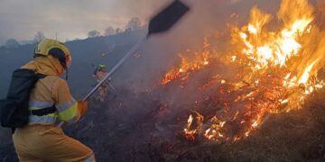 incendios forestales