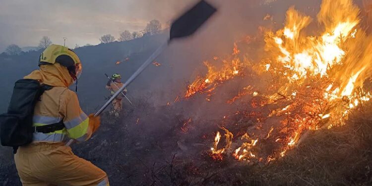 incendios forestales