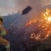 incendios forestales